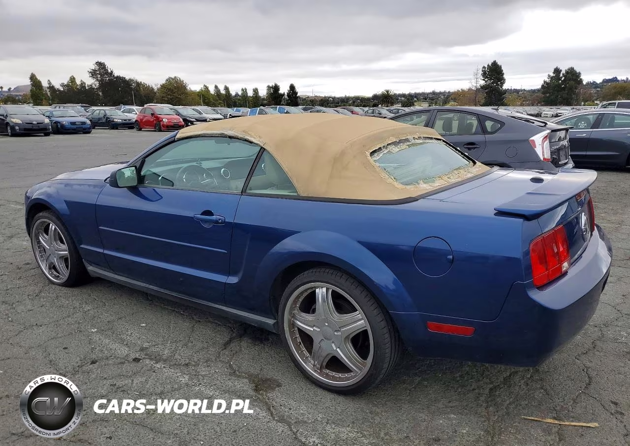 2008 Ford Mustang VIN:1ZVHT84N385204835 - 2