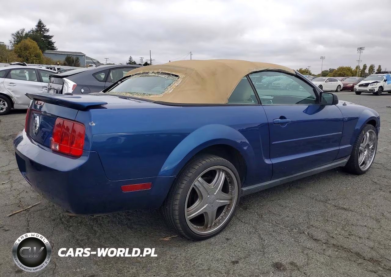 2008 Ford Mustang VIN:1ZVHT84N385204835 - 3
