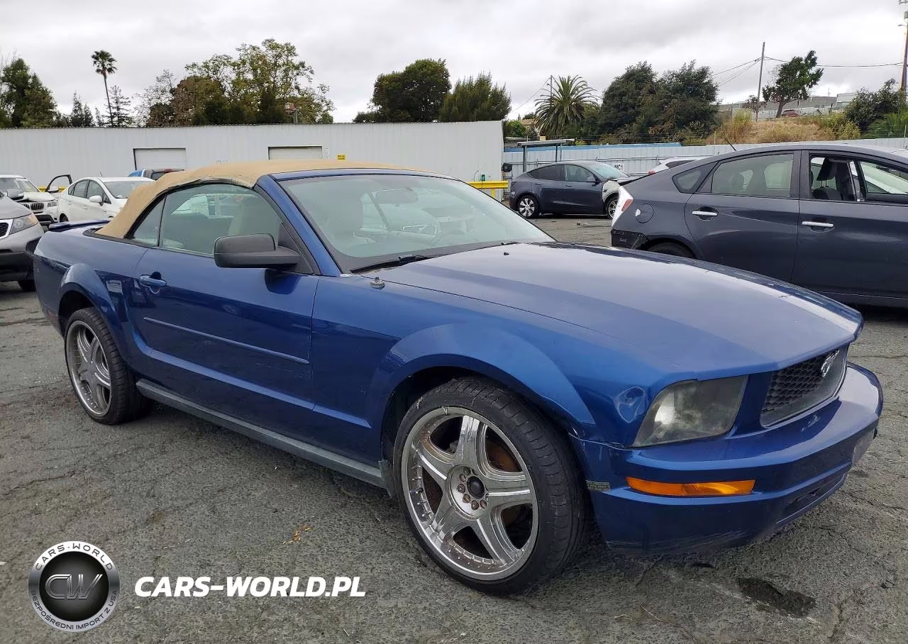 2008 Ford Mustang VIN:1ZVHT84N385204835 - 4