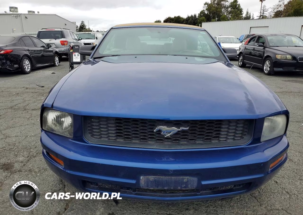 2008 Ford Mustang VIN:1ZVHT84N385204835 - 5