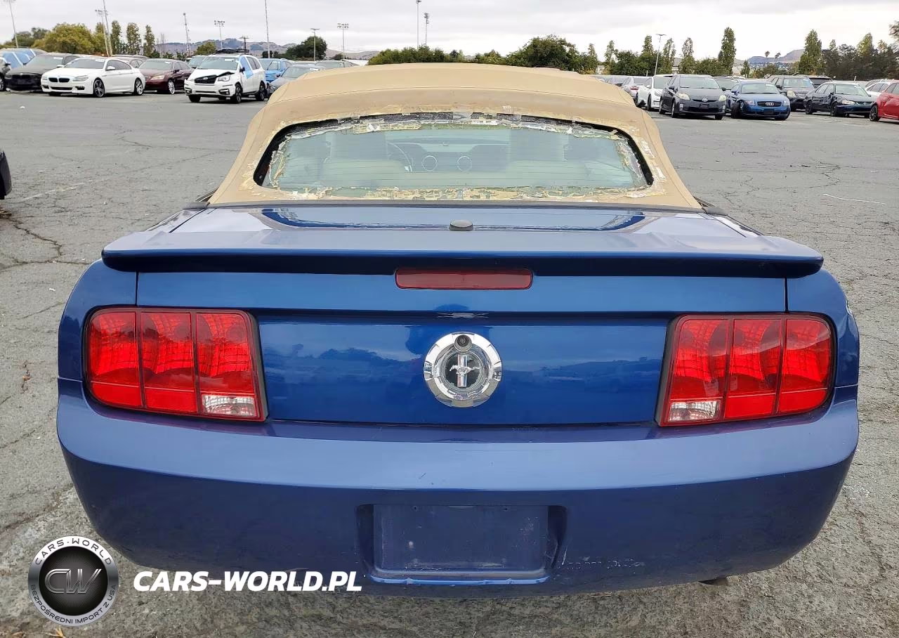 2008 Ford Mustang VIN:1ZVHT84N385204835 - 6
