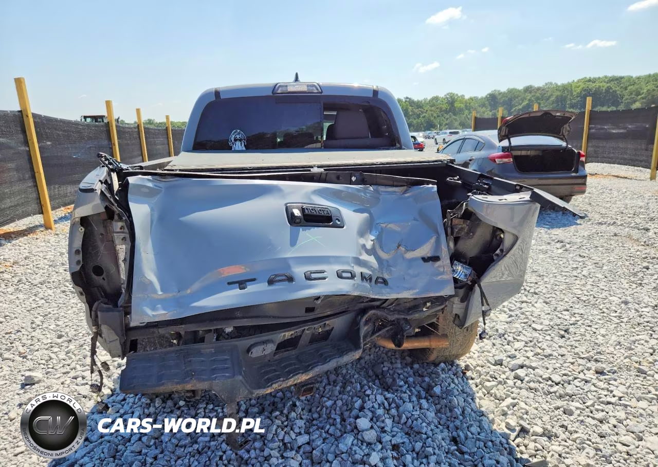 2019 Toyota Tacoma Trd Sport VIN:3TMCZ5AN5KM213519 - 6
