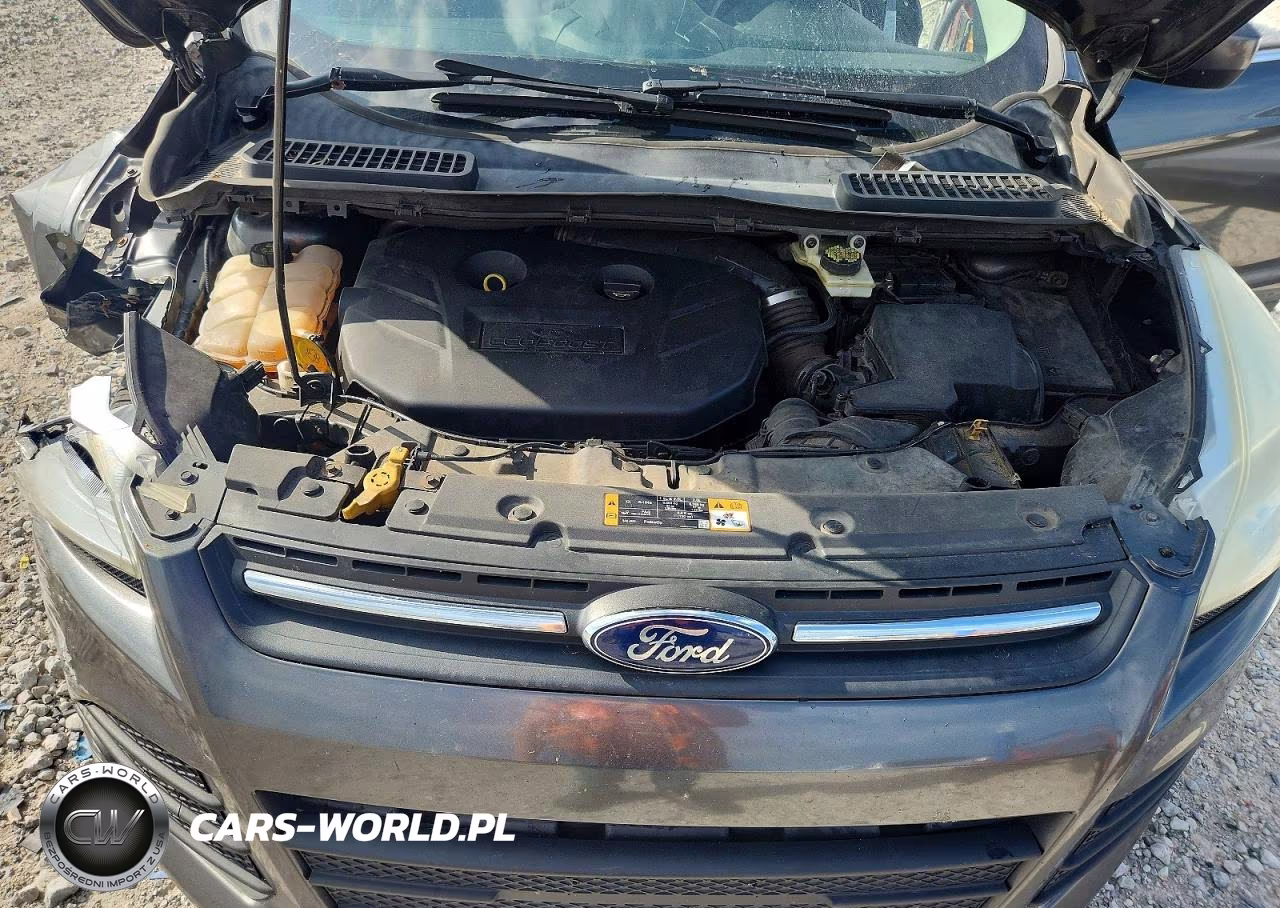 2016 Ford Escape Se VIN:1FMCU0G92GUA00148 - 12