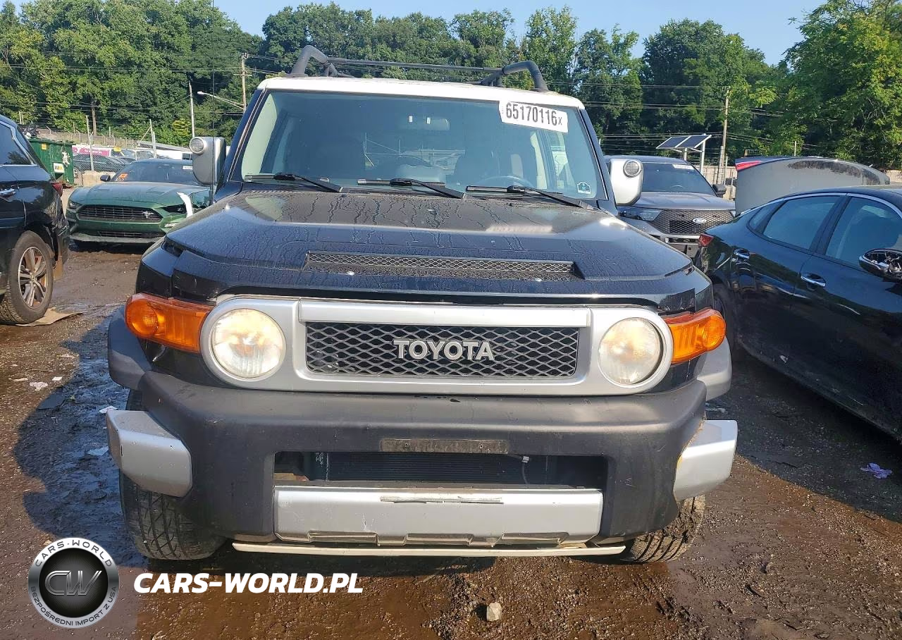 2007 Toyota Fj Cruiser Base VIN:JTEBU11F670080125 - 5