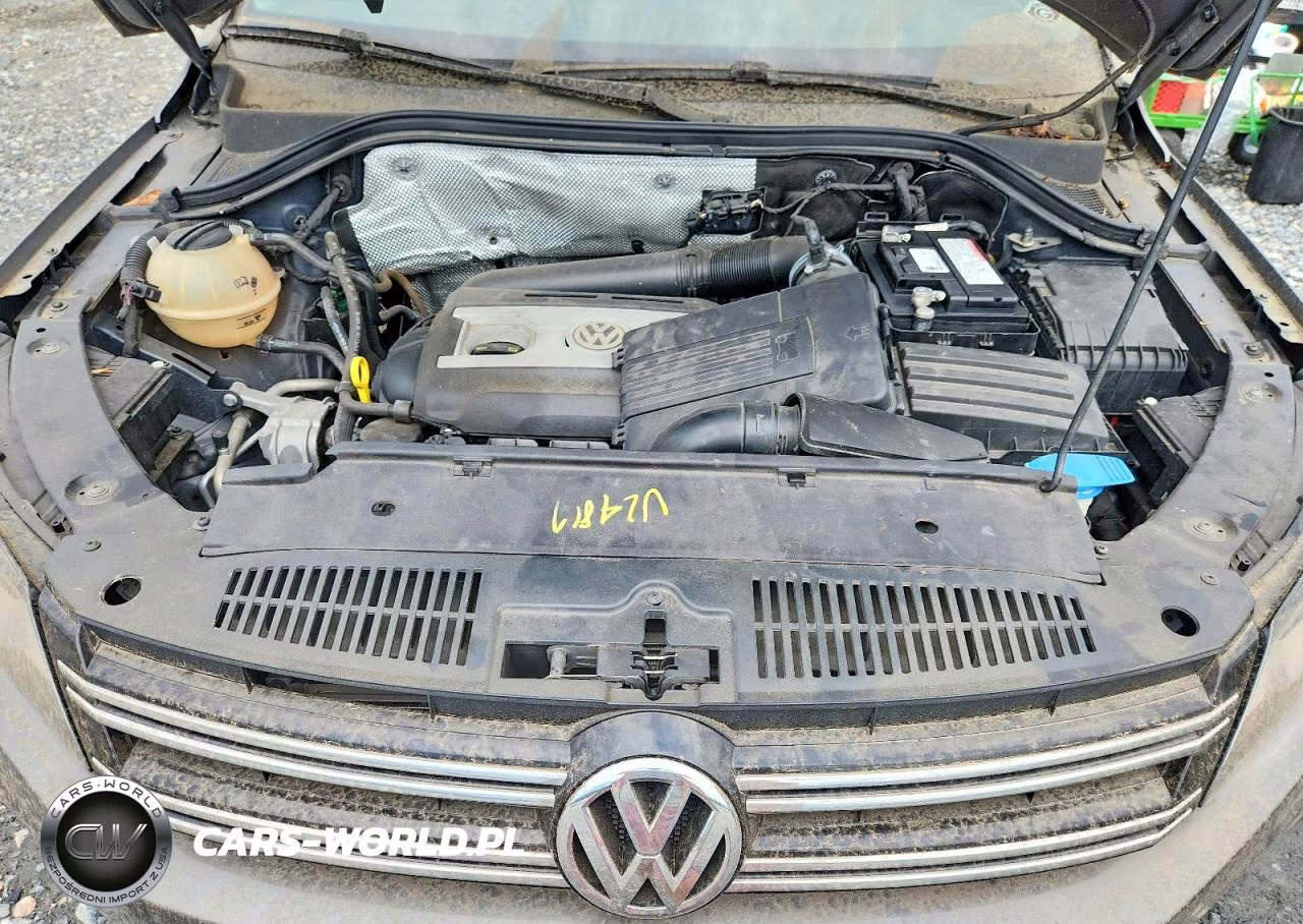 2016 Volkswagen Tiguan S VIN:WVGAV7AX6GW524217 - 12