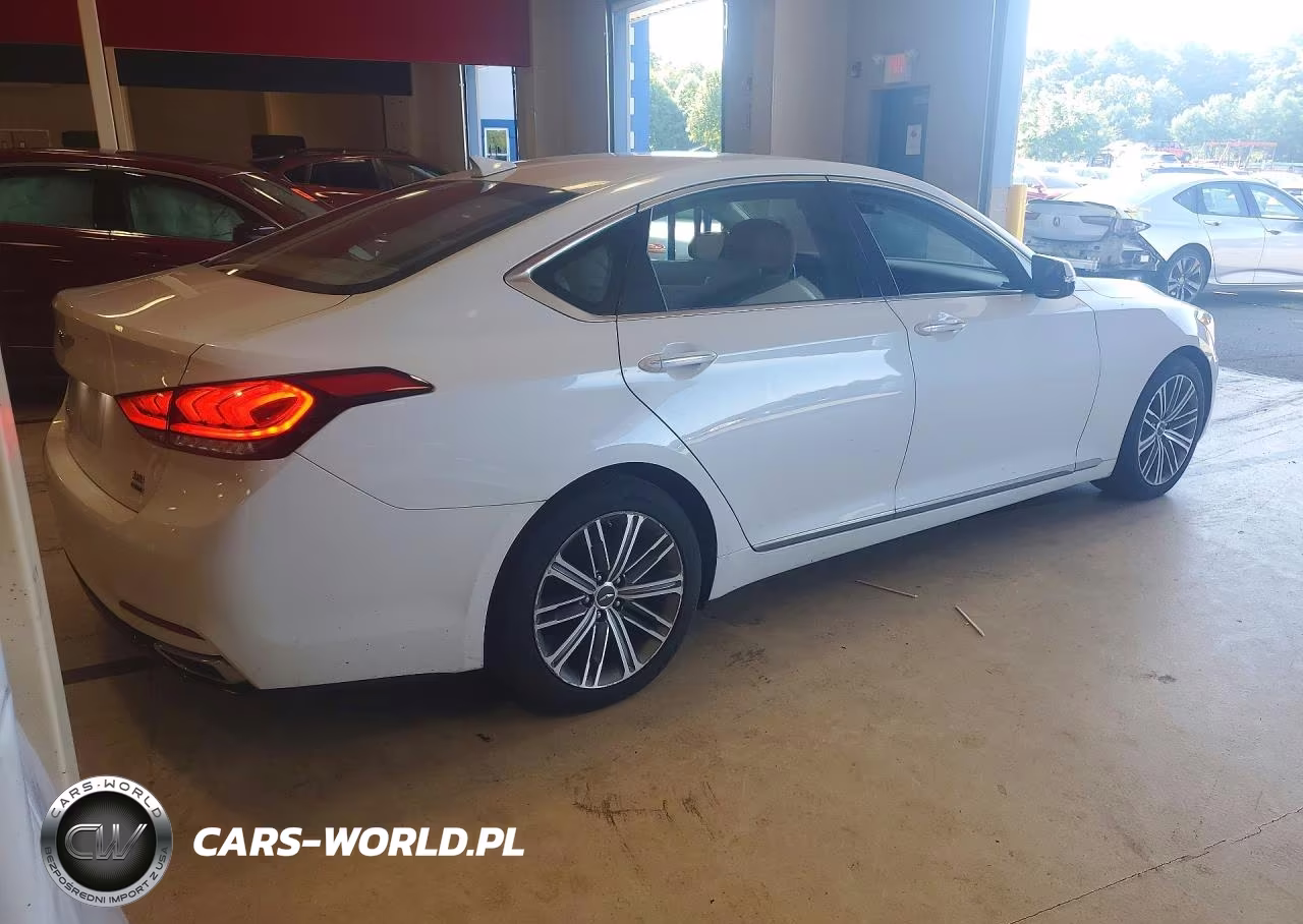 2019 Genesis G80 3.8 VIN:KMTFN4JE5KU309960 - 3