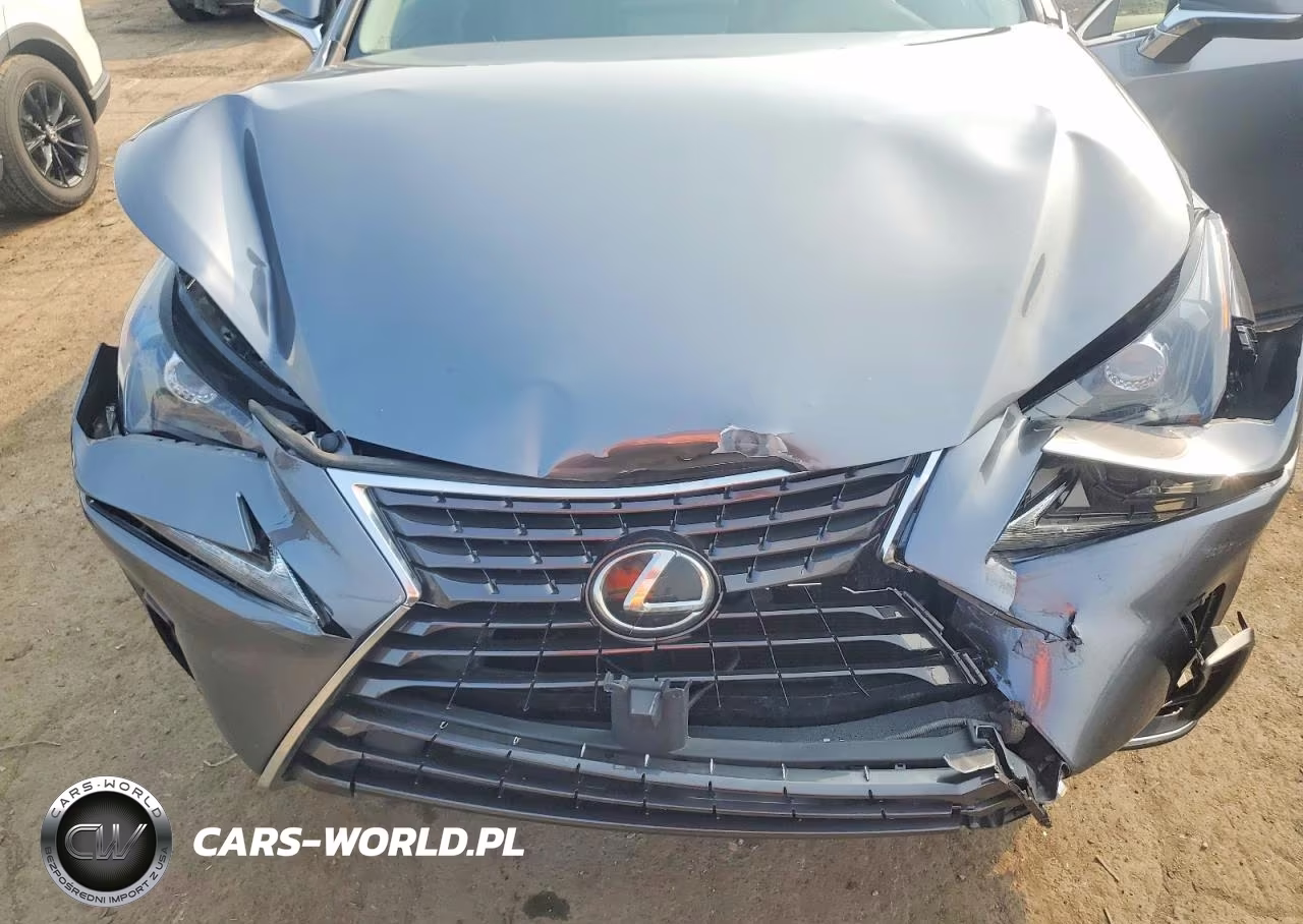 2020 Lexus Nx 300 VIN:JTJDARDZ2L2235825 - 12