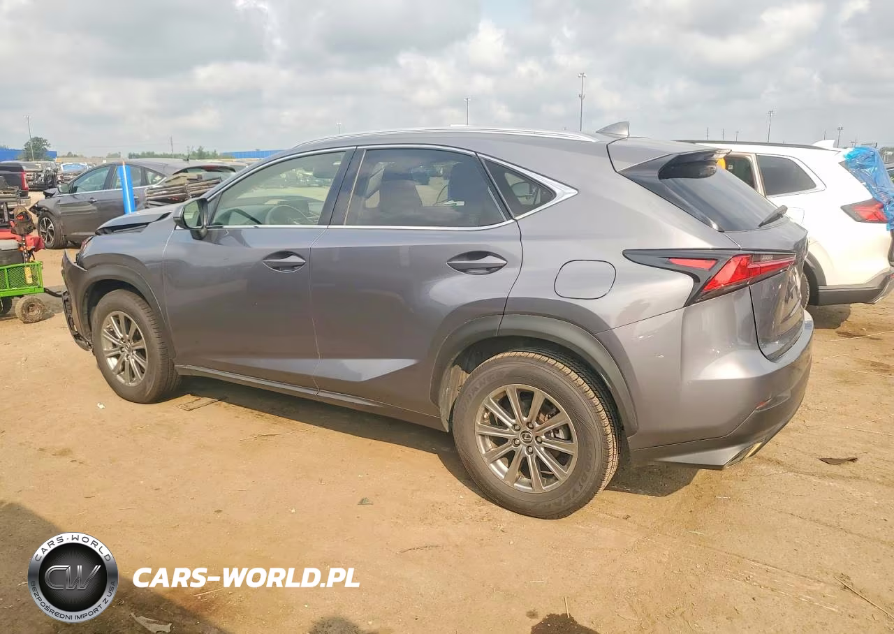 2020 Lexus Nx 300 VIN:JTJDARDZ2L2235825 - 2