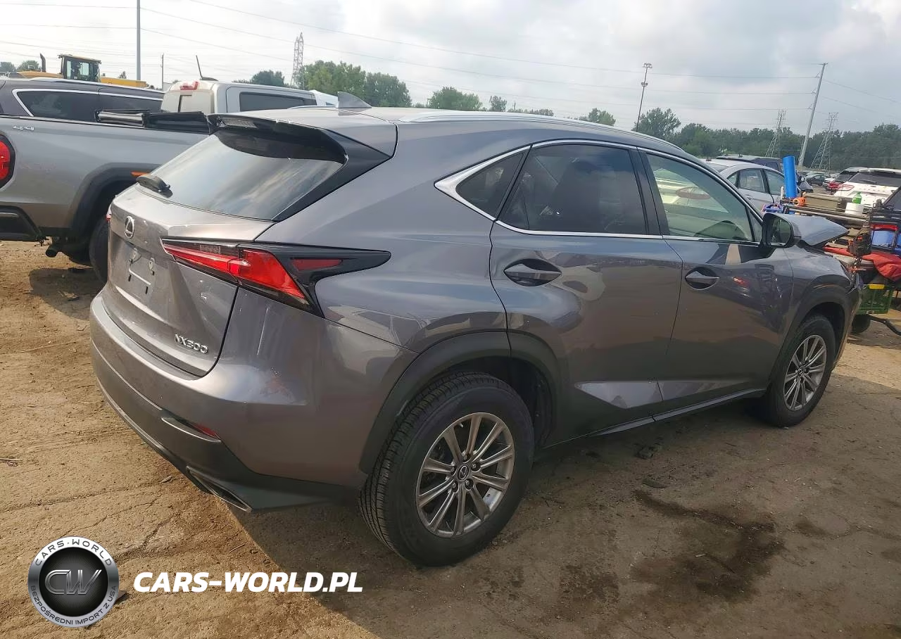 2020 Lexus Nx 300 VIN:JTJDARDZ2L2235825 - 3