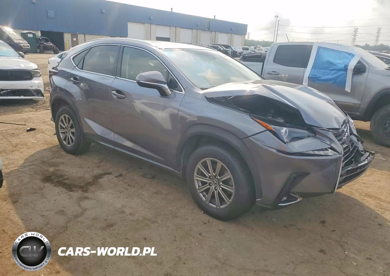 2020 Lexus Nx 300 VIN:JTJDARDZ2L2235825 - 4