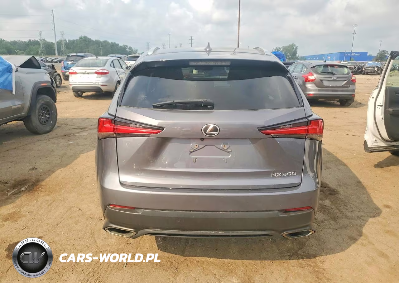 2020 Lexus Nx 300 VIN:JTJDARDZ2L2235825 - 6