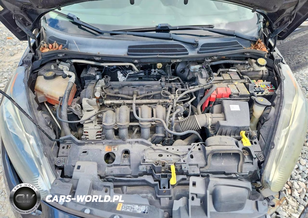 2014 Ford Fiesta Se VIN:3FADP4BJ2EM131368 - 11