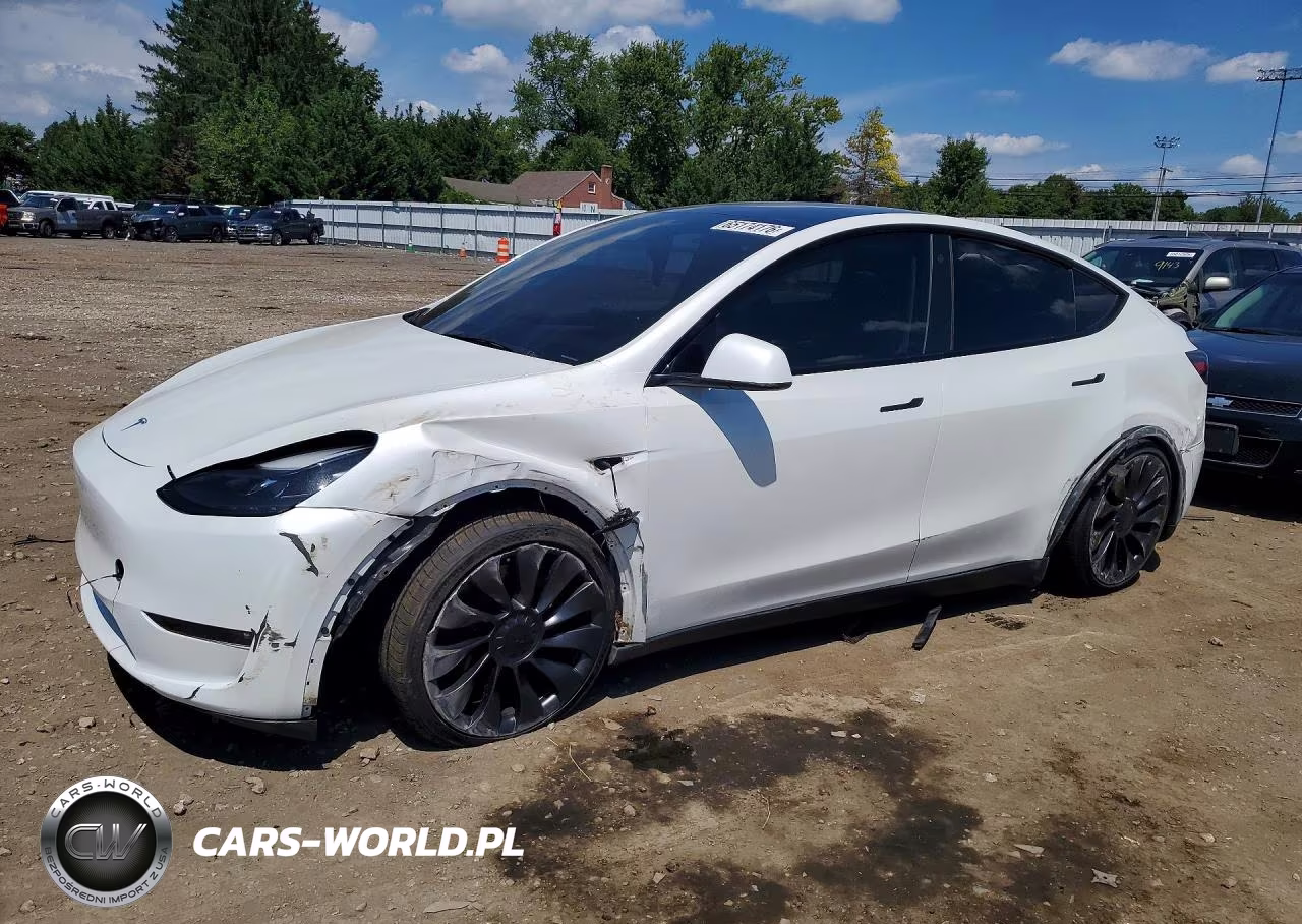 2023 Tesla Model Y VIN:7SAYGDEF3PF754883 - 1