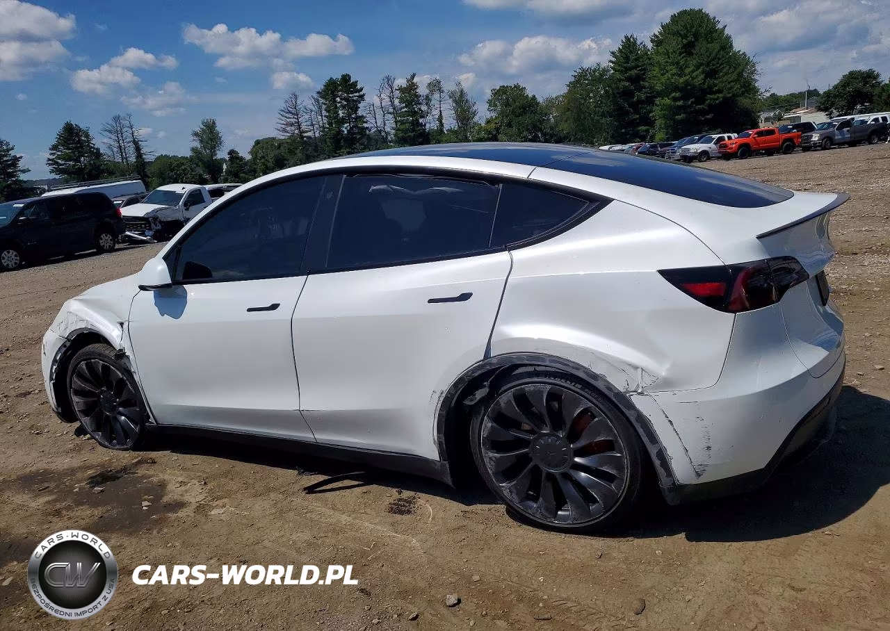 2023 Tesla Model Y VIN:7SAYGDEF3PF754883 - 2