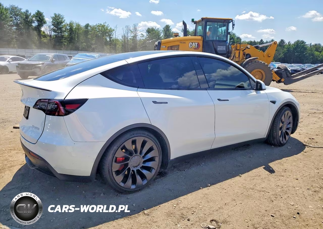 2023 Tesla Model Y VIN:7SAYGDEF3PF754883 - 3