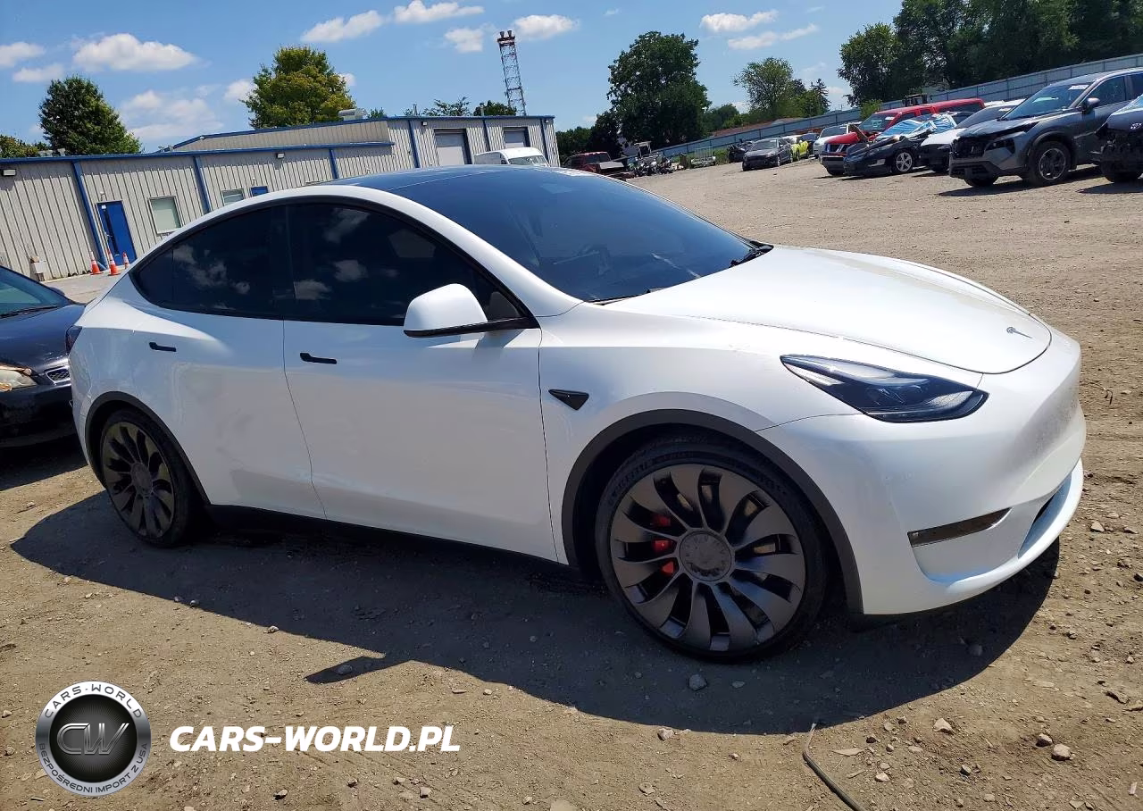 2023 Tesla Model Y VIN:7SAYGDEF3PF754883 - 4