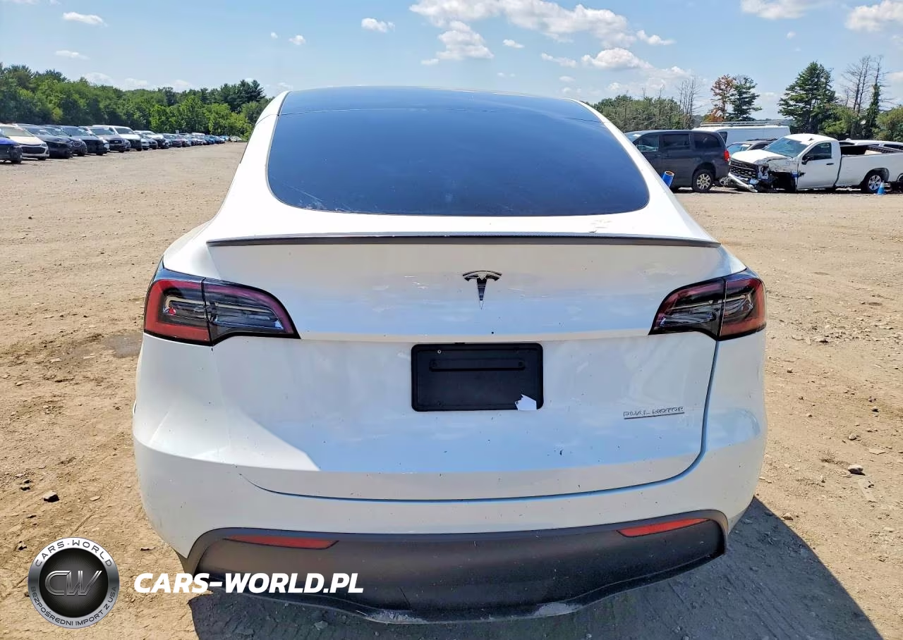 2023 Tesla Model Y VIN:7SAYGDEF3PF754883 - 6