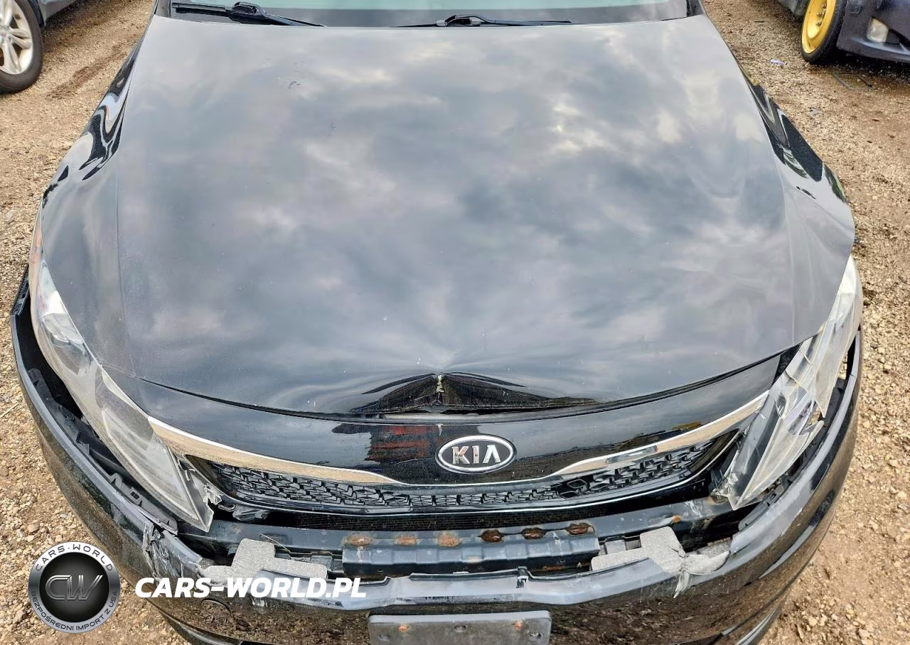 2011 Kia Optima Ex VIN:KNAGN4A72B5145000 - 11