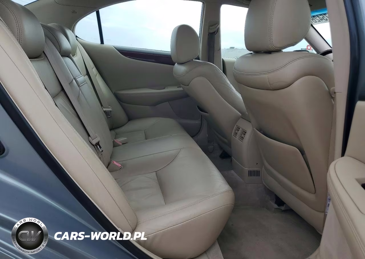 2004 Lexus Es 330 VIN:JTHBA30G745028759 - 10