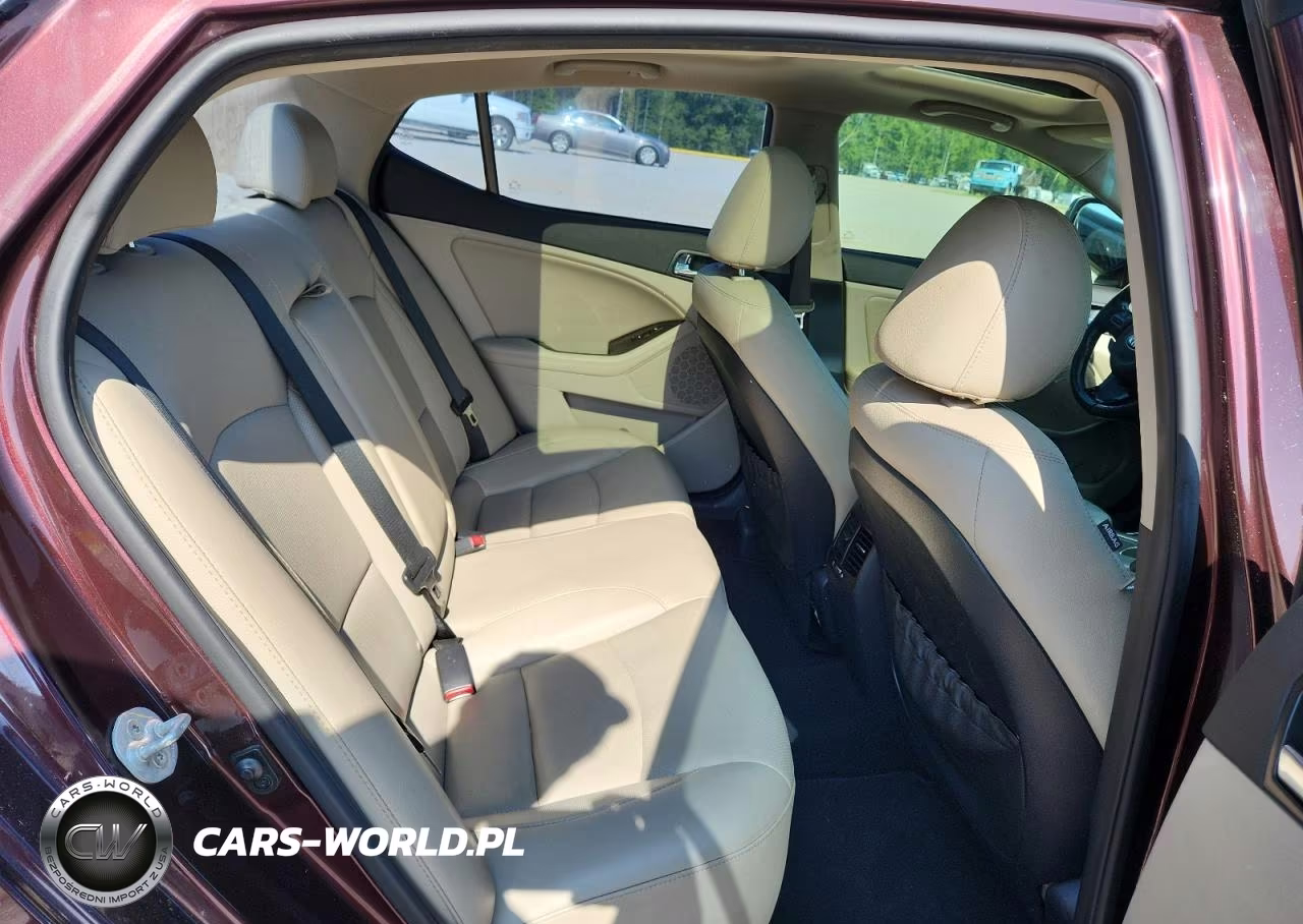2014 Kia Optima Ex VIN:5XXGN4A73EG317750 - 10