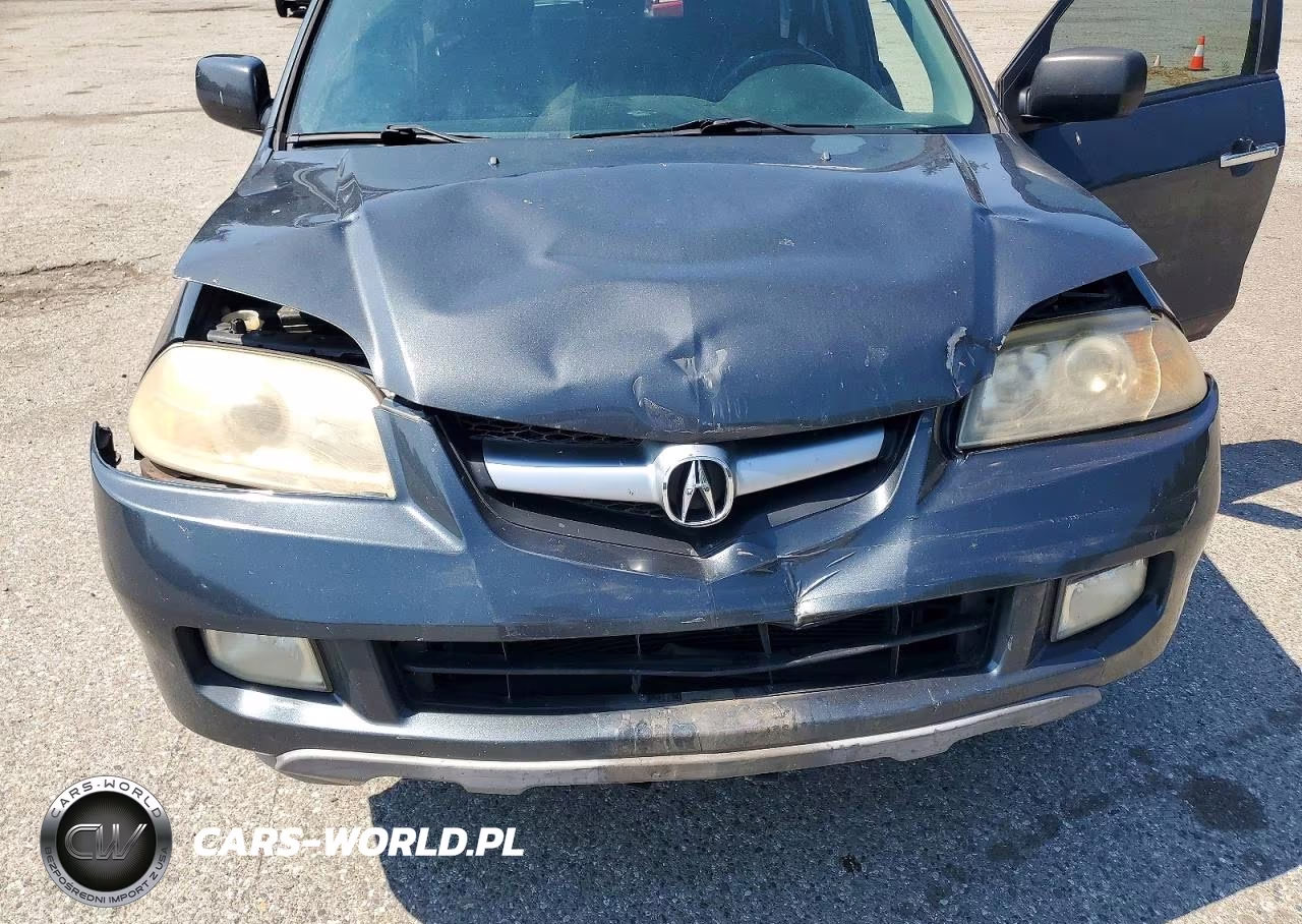 2006 Acura Mdx Touring VIN:2HNYD18886H543313 - 12