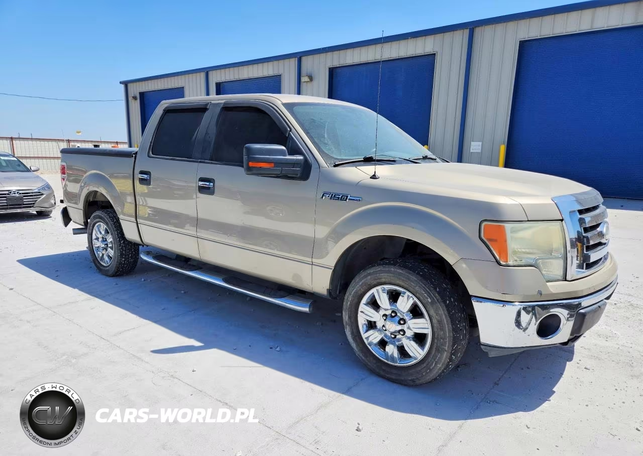 2009 Ford F150 Supercrew VIN:1FTRW12829FB26076 - 4