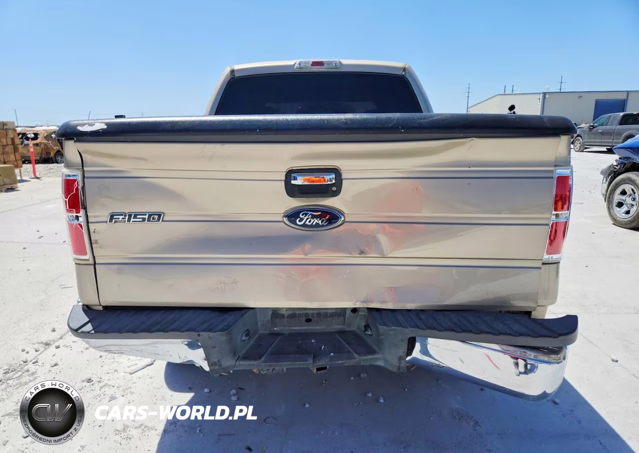 2009 Ford F150 Supercrew VIN:1FTRW12829FB26076 - 6