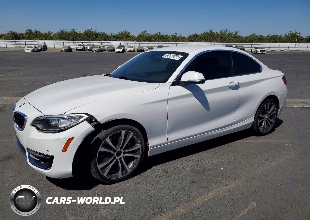 2017 BMW 230I