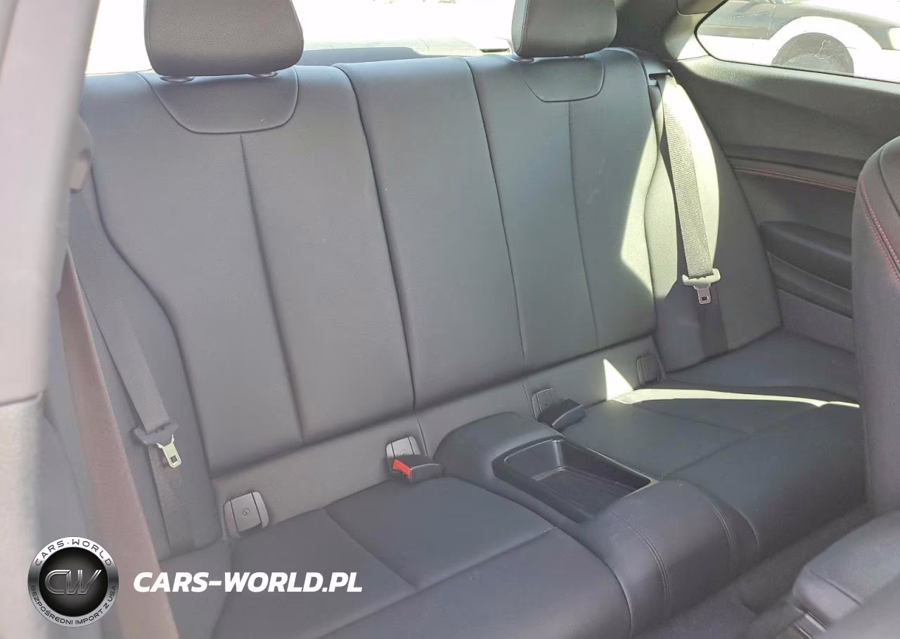 2017 BMW 230I VIN:WBA2F9C5XHV664515 - 10