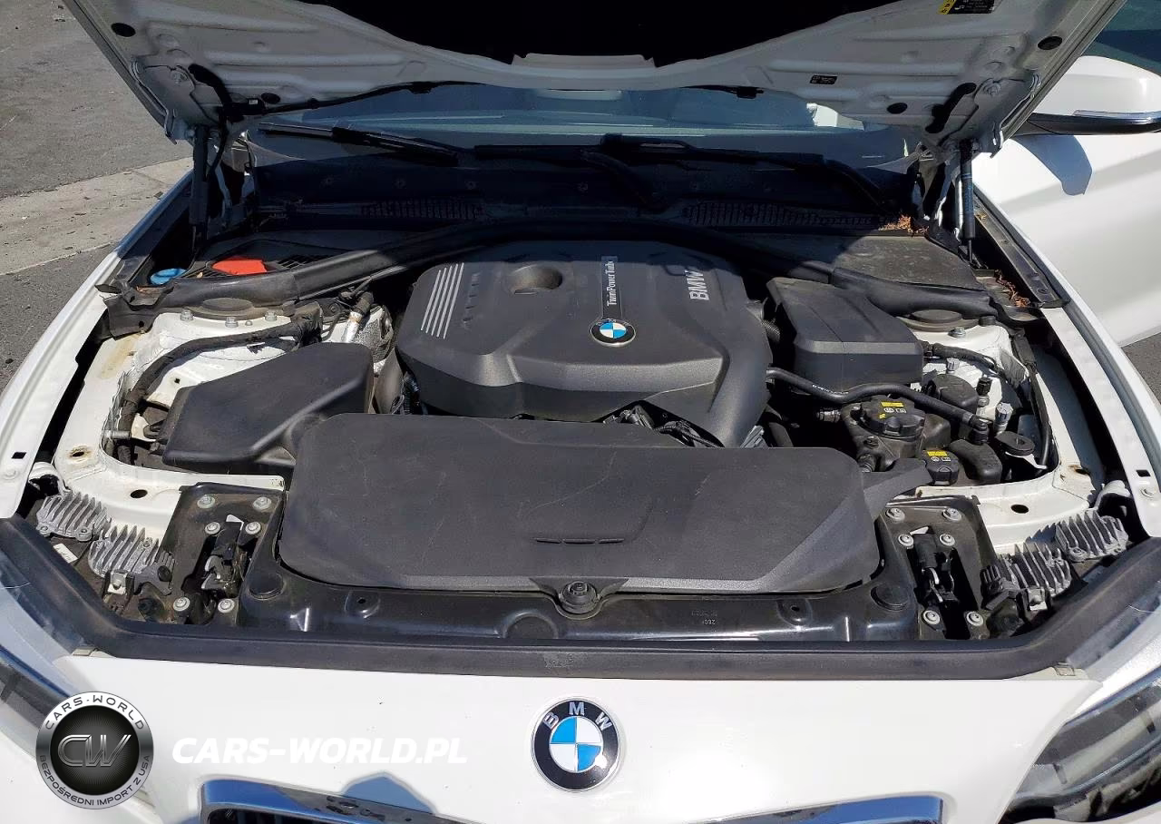 2017 BMW 230I VIN:WBA2F9C5XHV664515 - 11