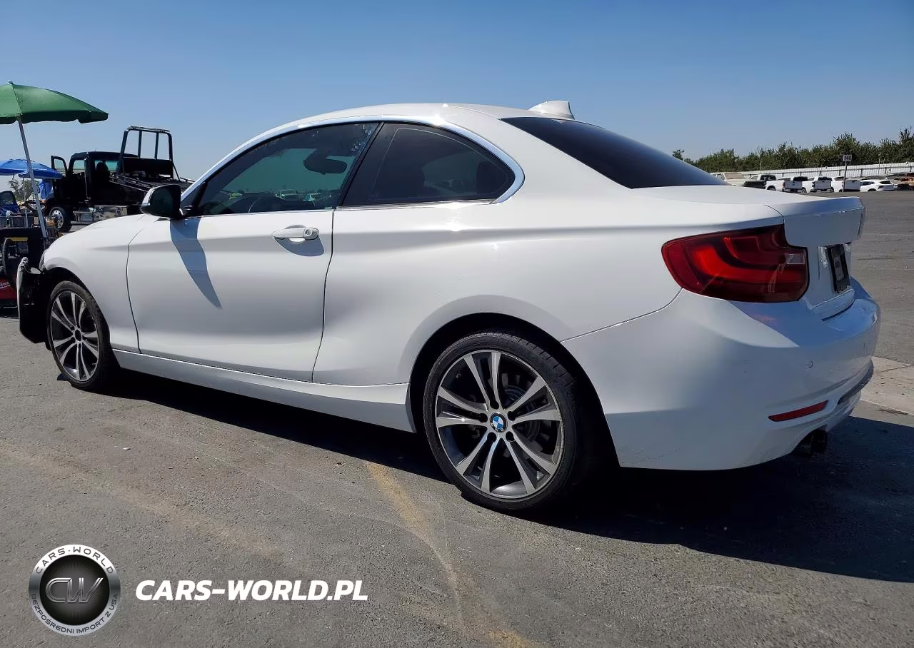 2017 BMW 230I VIN:WBA2F9C5XHV664515 - 2