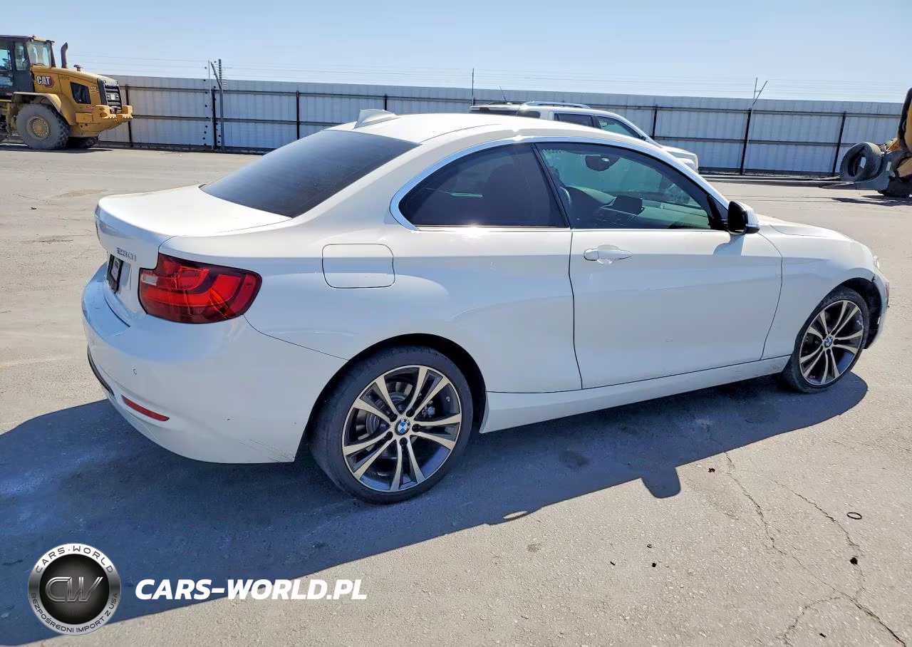 2017 BMW 230I VIN:WBA2F9C5XHV664515 - 3