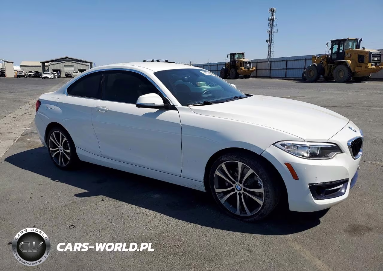 2017 BMW 230I VIN:WBA2F9C5XHV664515 - 4