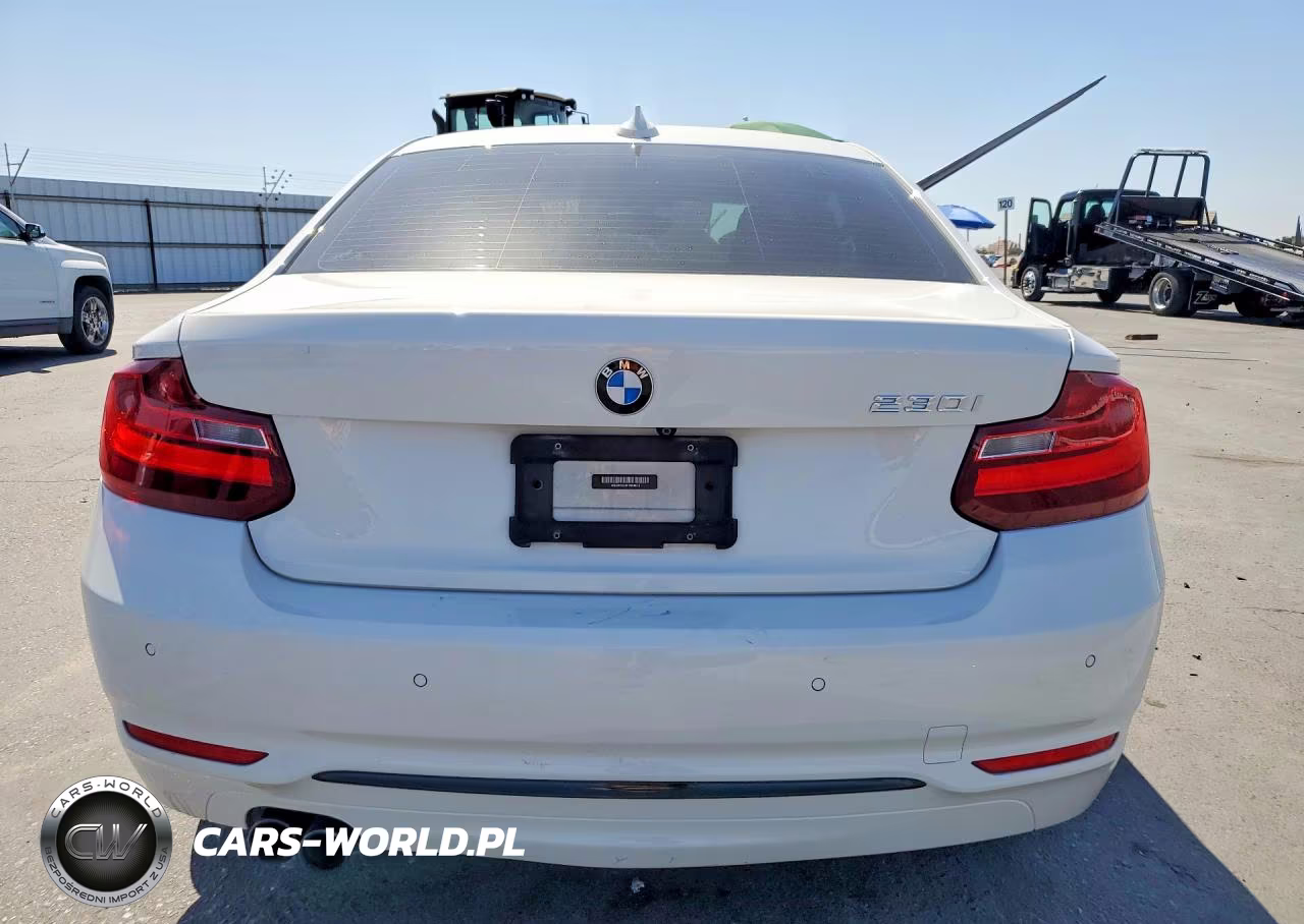 2017 BMW 230I VIN:WBA2F9C5XHV664515 - 6