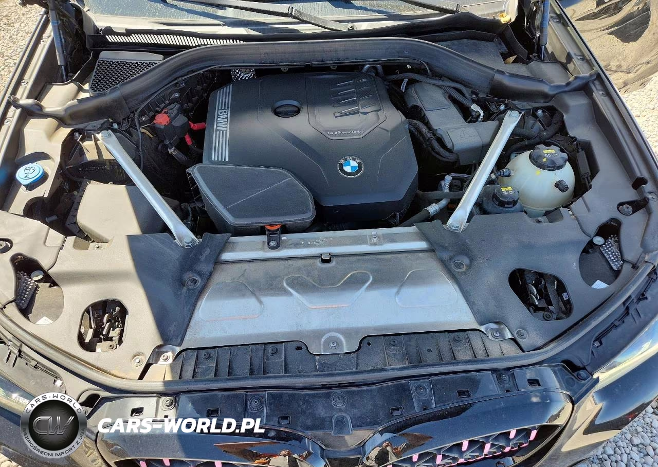 2023 BMW X4 xDrive30I VIN:5UX33DT0XP9P79323 - 12