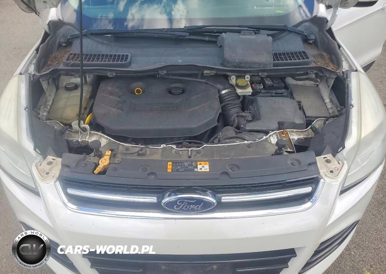 2013 Ford Escape Sel VIN:1FMCU9H93DUB20197 - 12