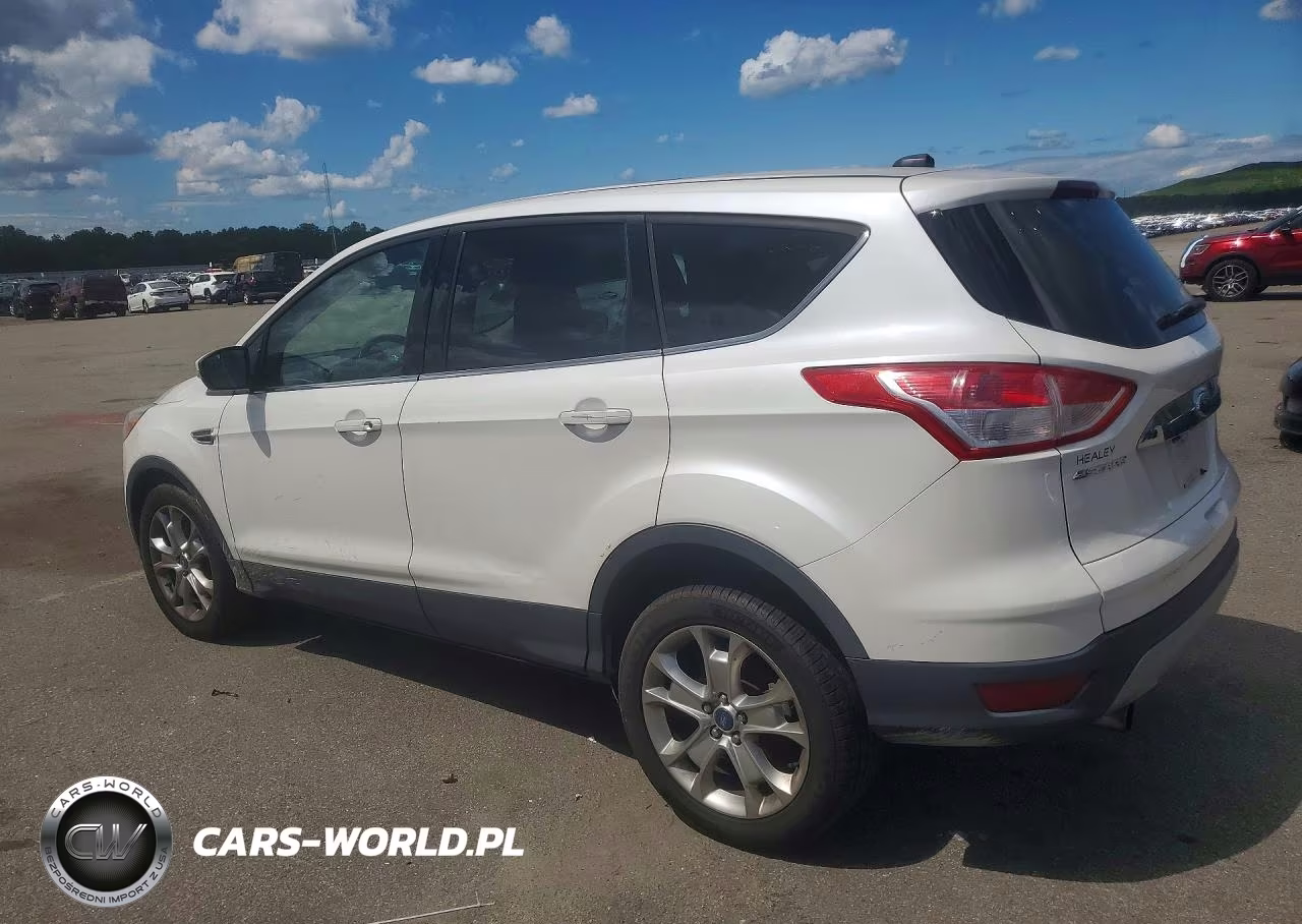 2013 Ford Escape Sel VIN:1FMCU9H93DUB20197 - 2