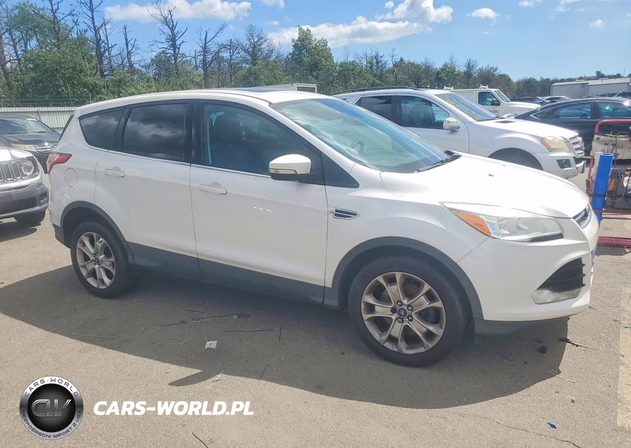 2013 Ford Escape Sel VIN:1FMCU9H93DUB20197 - 4
