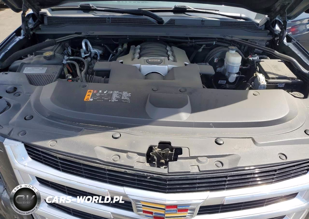 2019 Cadillac Escalade Esv Premium Luxury VIN:1GYS3JKJ8KR166514 - 12