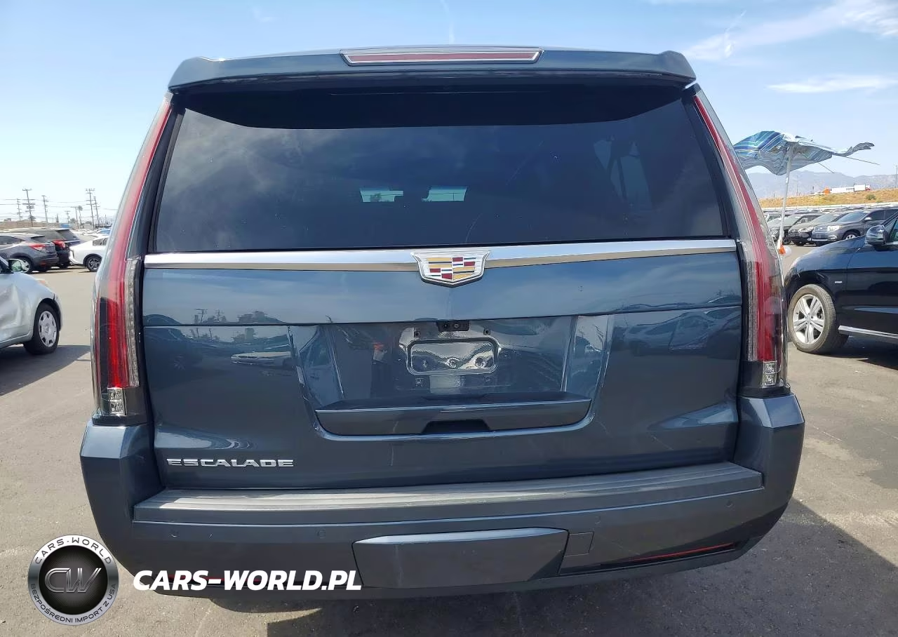 2019 Cadillac Escalade Esv Premium Luxury VIN:1GYS3JKJ8KR166514 - 6