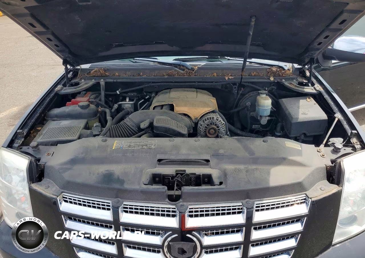 2010 Cadillac Escalade VIN:1GYUKCEF6AR167447 - 12