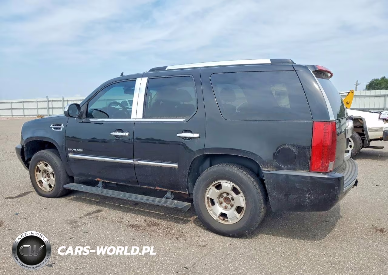 2010 Cadillac Escalade VIN:1GYUKCEF6AR167447 - 2