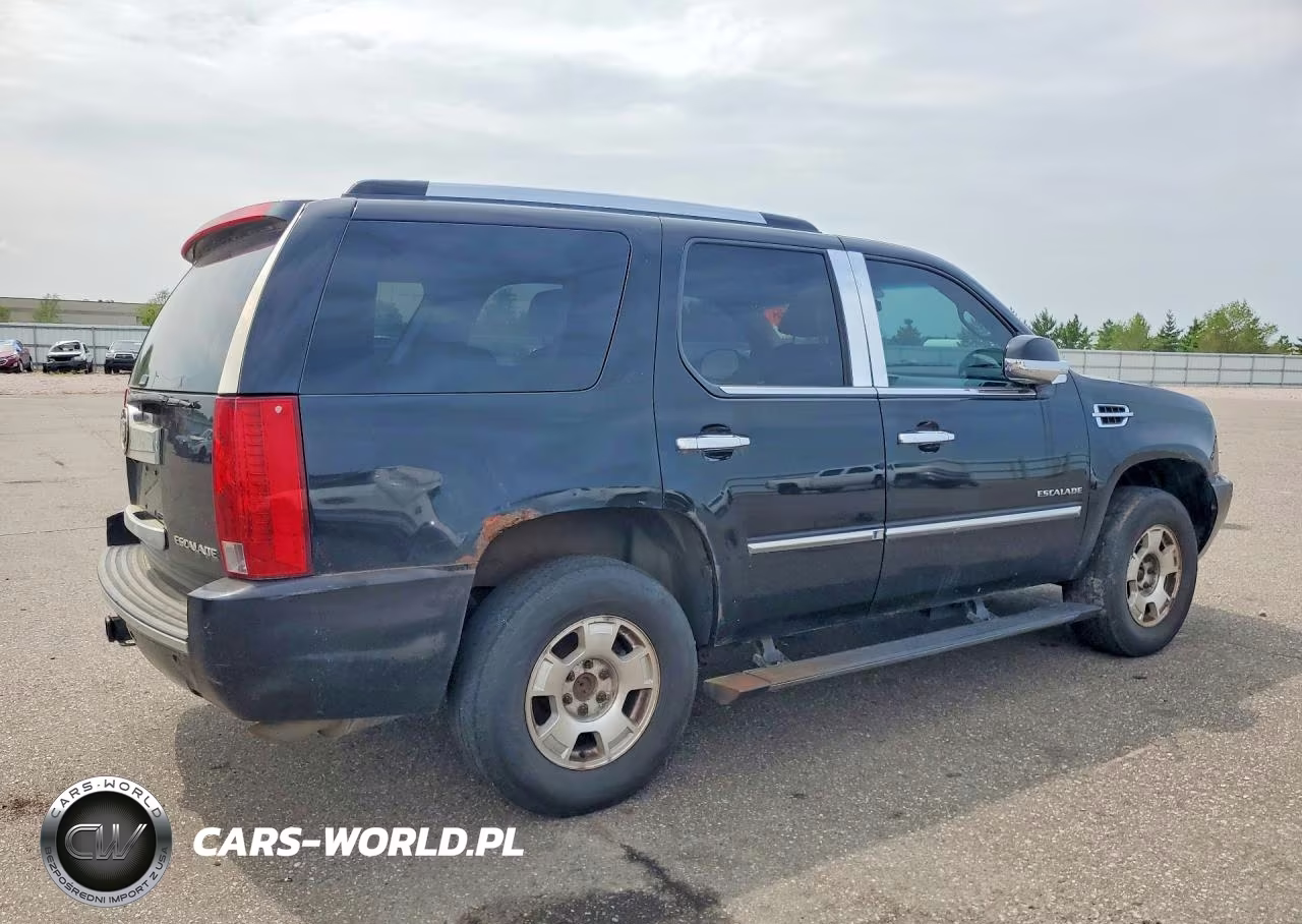 2010 Cadillac Escalade VIN:1GYUKCEF6AR167447 - 3