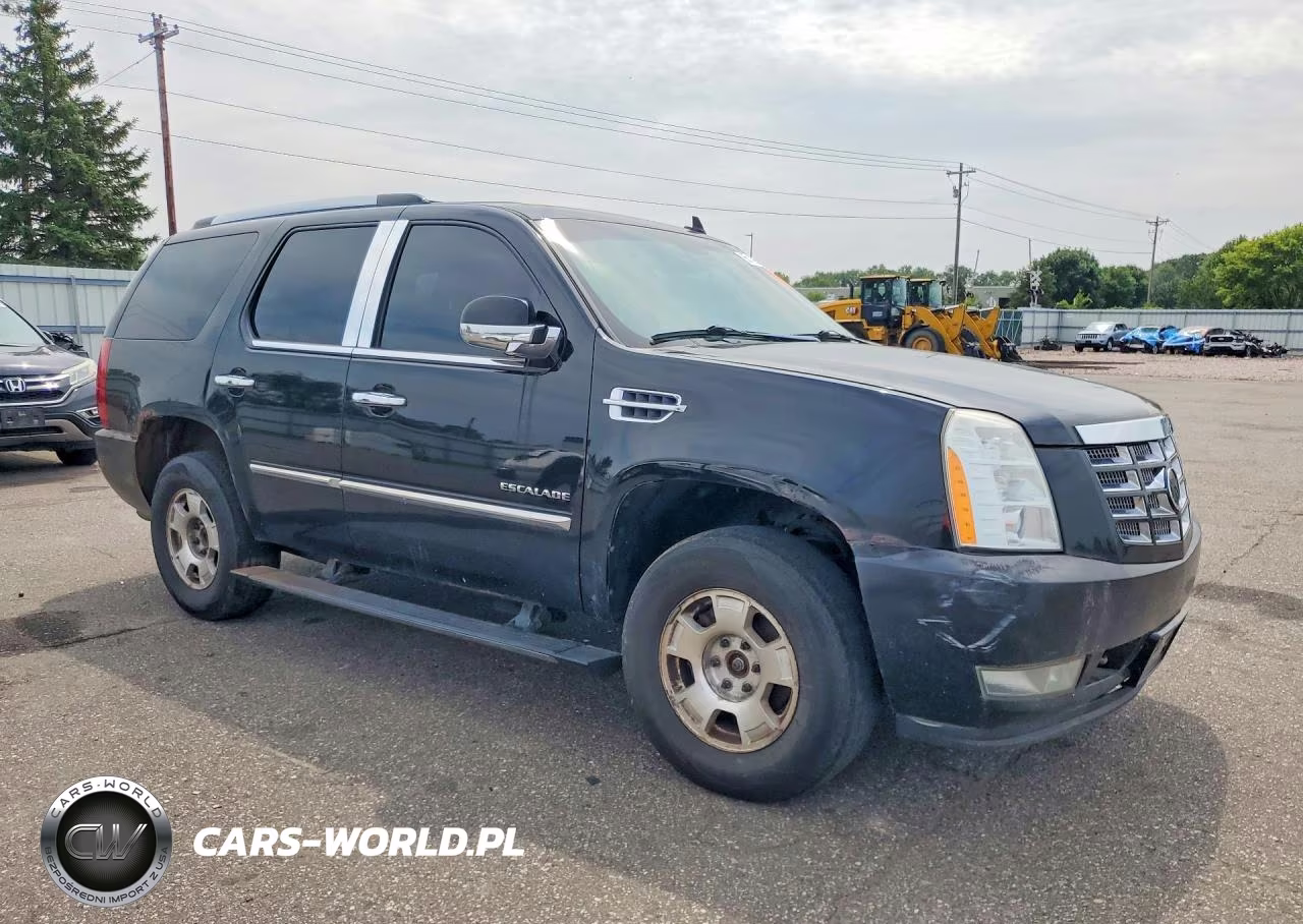 2010 Cadillac Escalade VIN:1GYUKCEF6AR167447 - 4