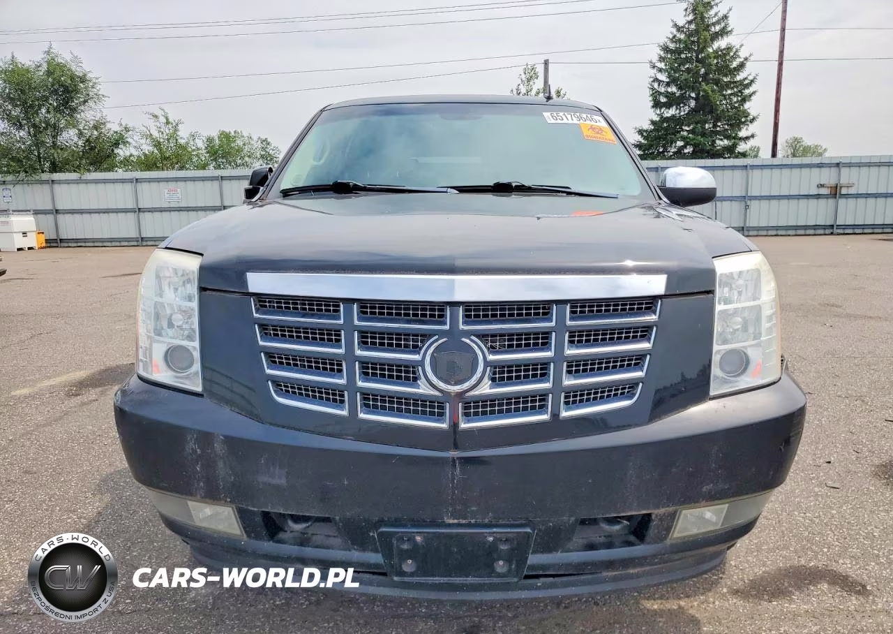 2010 Cadillac Escalade VIN:1GYUKCEF6AR167447 - 5
