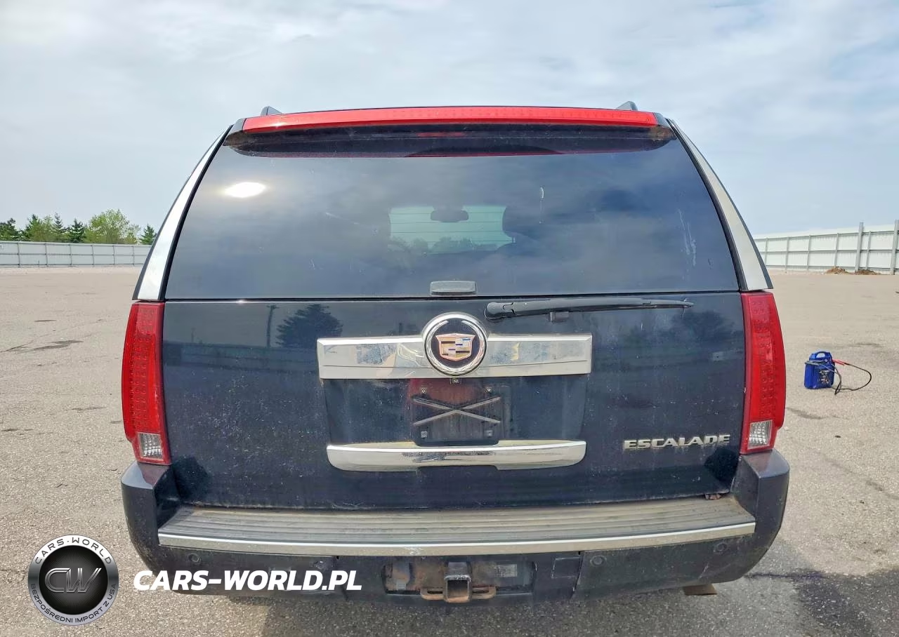 2010 Cadillac Escalade VIN:1GYUKCEF6AR167447 - 6