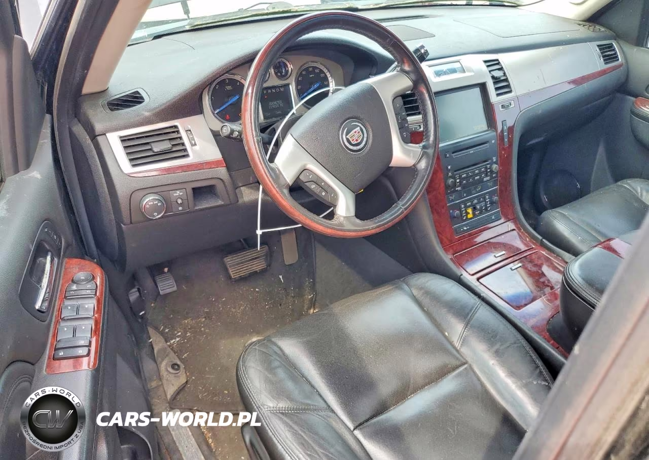 2010 Cadillac Escalade VIN:1GYUKCEF6AR167447 - 8