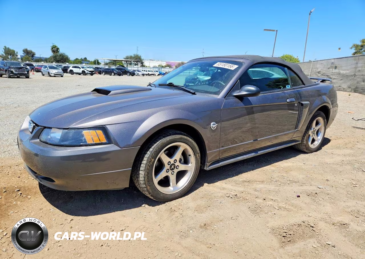 2004 Ford Mustang Gt VIN:1FAFP45X94F193129 - 1