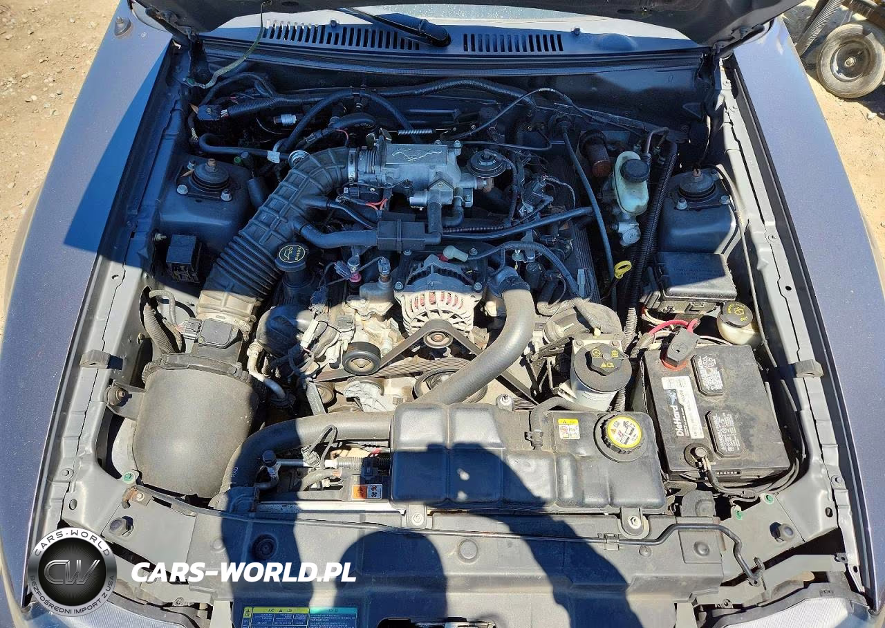 2004 Ford Mustang Gt VIN:1FAFP45X94F193129 - 11