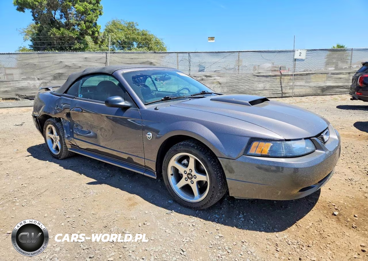 2004 Ford Mustang Gt VIN:1FAFP45X94F193129 - 4